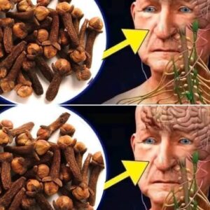 After 50: Chew 2 Cloves Daily on an Empty Stomach and Reap These Health Benefits After 50: Chew 2 Cloves Daily on an Empty Stomach and Reap These Health Benefits